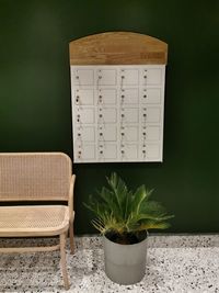 Close-up of potted plant against wall