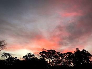 Low angle view of silhouette trees against dramatic sky