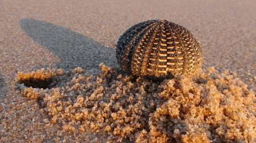 Close-up of sand