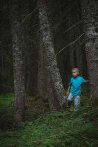 Full length of man standing by tree trunks in forest