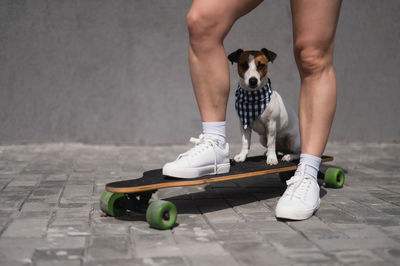 Low section of person walking on street