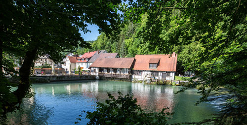 Houses by river and trees against sky