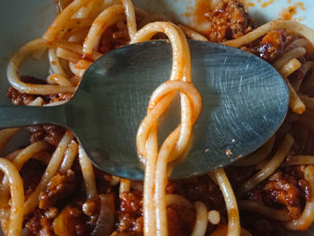 High angle view of pasta in plate