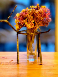 Close-up of plant on table