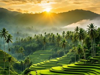 High angle view of townscape against sky during sunset