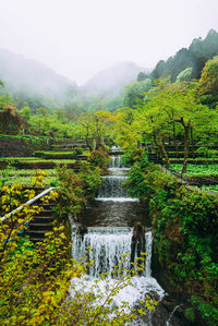 Scenic view of green mountains against sky