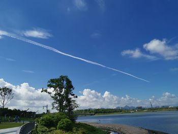 Road by trees against blue sky