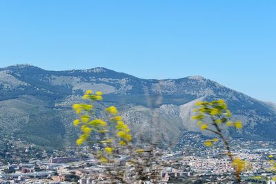 Scenic view of landscape against clear blue sky