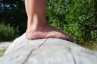 Low section of woman against tree