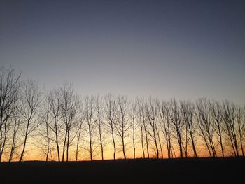 Silhouette bare trees on field against clear sky