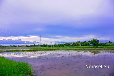 Scenic view of river amidst field against sky