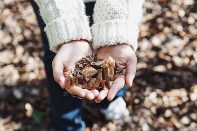 Close-up of person holding hands