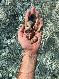 High angle view of hands holding leaf at water