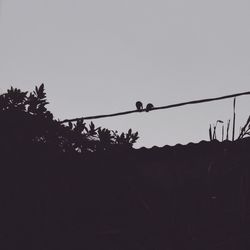 Low angle view of silhouette trees against sky