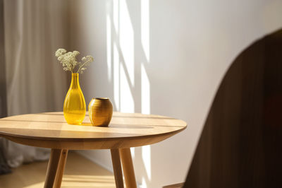 Potted plant on table at home