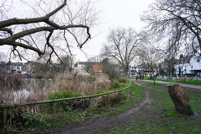 Footpath amidst trees and buildings against sky