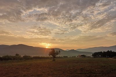 Scenic view of field against sky during sunset