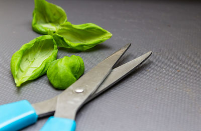 High angle view of chopped leaf on cutting board