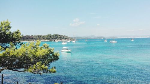 Scenic view of sea against clear sky