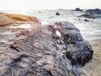 Driftwood on beach