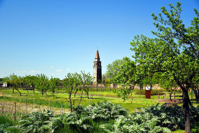 Plants and trees on field against sky