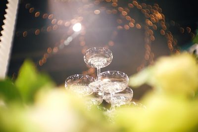 Close-up of illuminated water drop