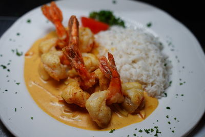 High angle view of food served in plate