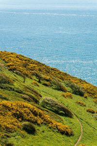 Scenic view of landscape