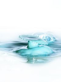 Splashing water over white background