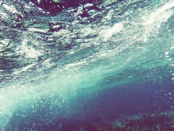 Reflection of trees in water
