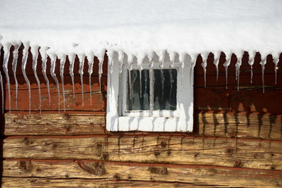 Close-up of snow on wood during winter