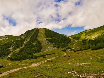 Scenic view of landscape against sky