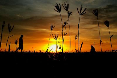 Silhouette plants on field against sky during sunset
