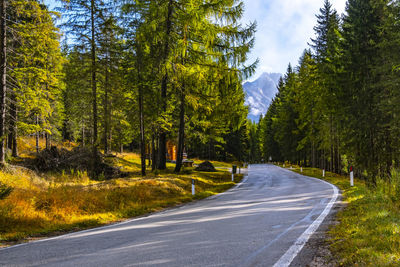 Wallpaper of beautiful long road at italy.