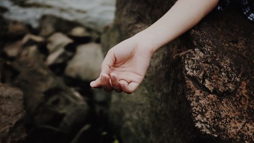 Low section of child on tree trunk