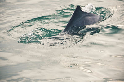 Scenic view of frozen sea