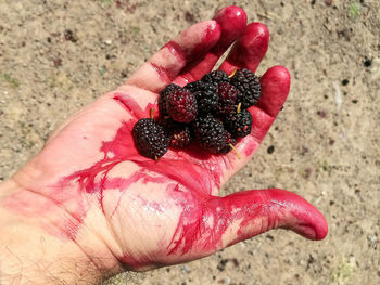 Close-up of hand holding strawberry