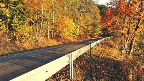 View of paved road through forest in autumn