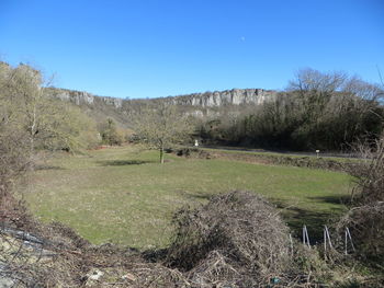 Scenic view of field against clear blue sky