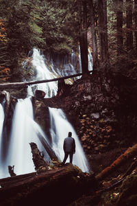 Rear view of man standing by waterfall in forest