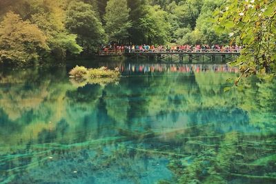 Reflection of trees in lake against sky