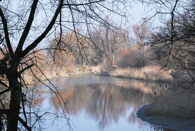 Scenic view of lake in forest against sky