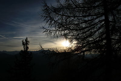 Silhouette bare trees against sky during sunset