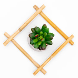 High angle view of vegetables on table against white background