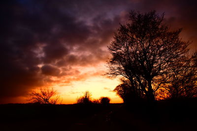 Silhouette trees against dramatic sky during sunset