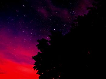 Low angle view of silhouette trees against sky at night