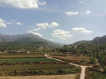 Scenic view of agricultural field against sky