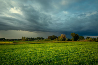Storm cloud over the green field, eastern poland