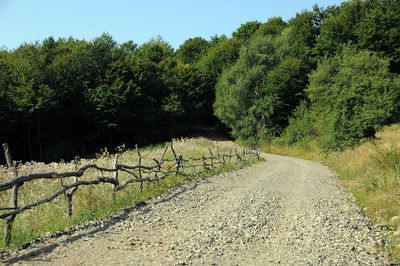Road amidst trees on field against clear sky