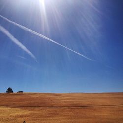 Scenic view of landscape against blue sky